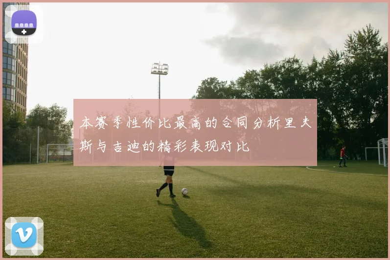 本赛季性价比最高的合同分析里夫斯与吉迪的精彩表现对比