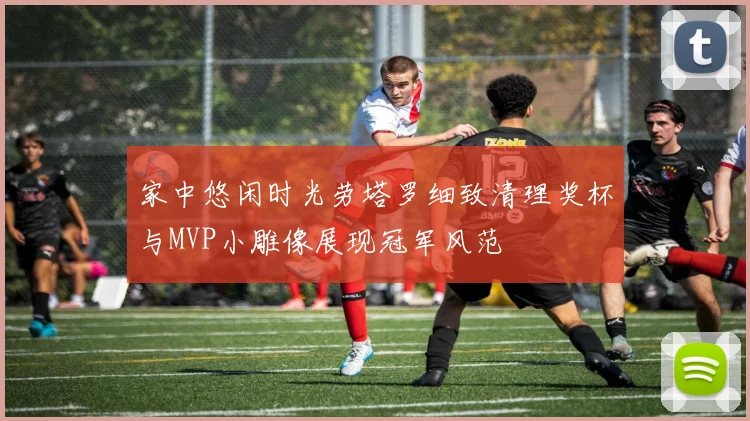 家中悠闲时光劳塔罗细致清理奖杯与MVP小雕像展现冠军风范