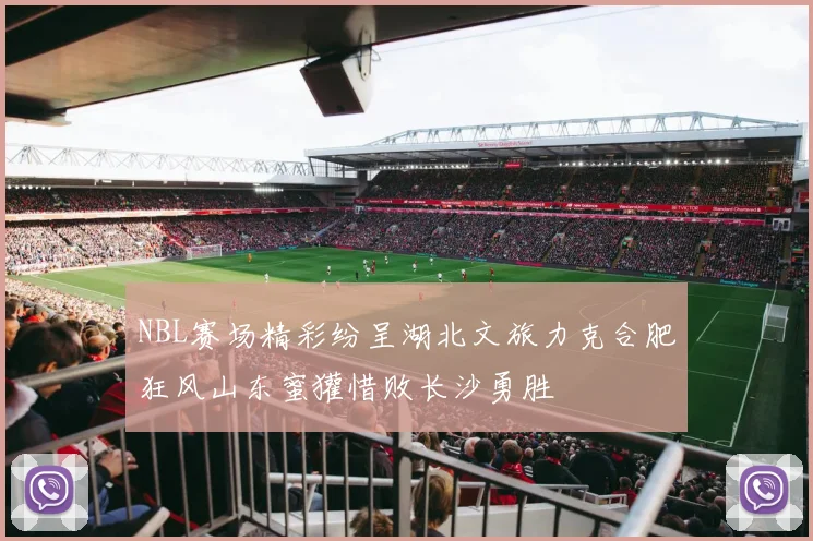 NBL赛场精彩纷呈湖北文旅力克合肥狂风山东蜜獾惜败长沙勇胜