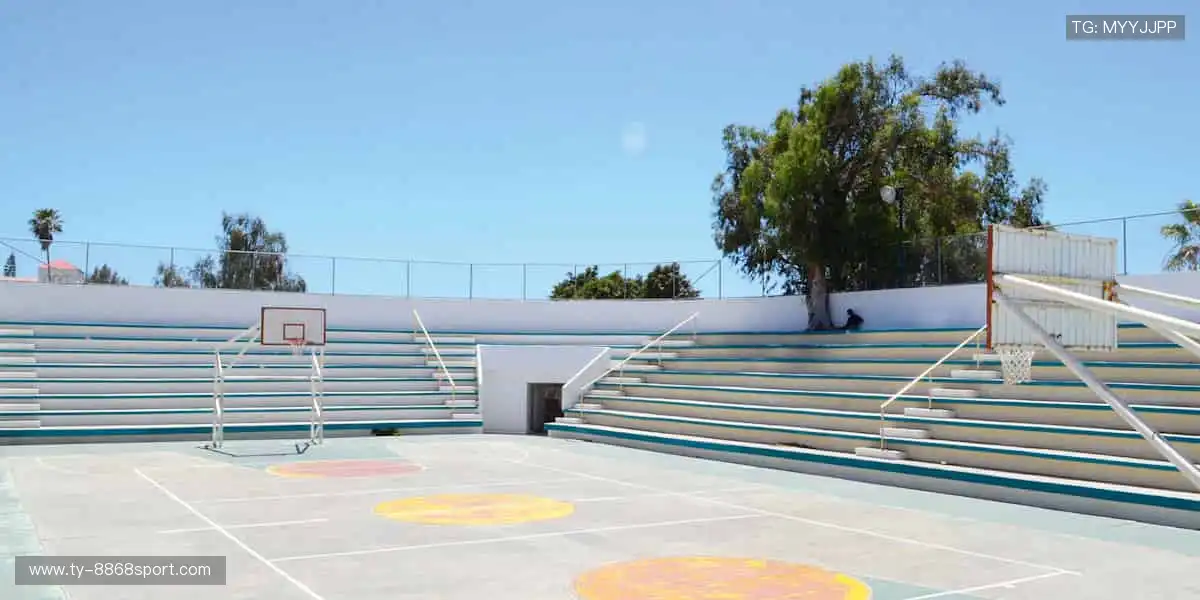 球星同款，限量周边，打造你的专属风格！👟🏆