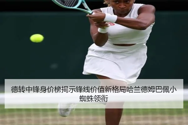 德转中锋身价榜揭示锋线价值新格局哈兰德姆巴佩小蜘蛛领衔